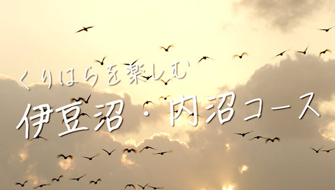 伊豆沼・内沼（サムネイル）