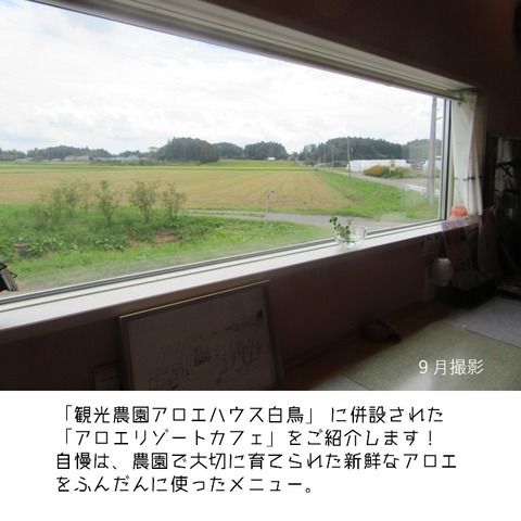 アロエリゾートカフェ (2)