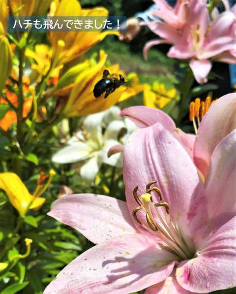 ６
