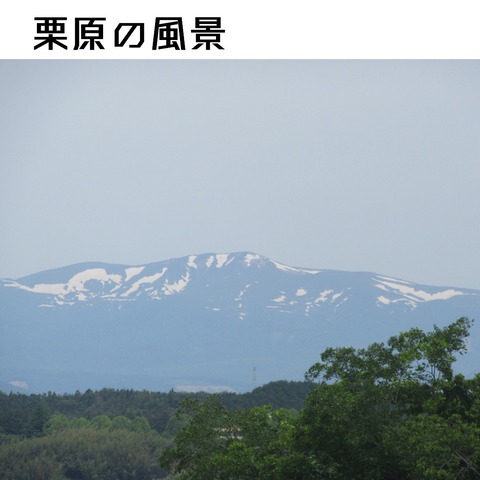 スライド1
