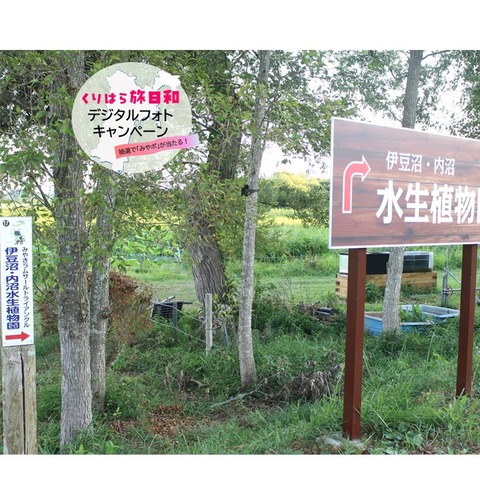 伊豆沼内沼 (2)