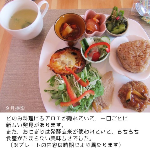 アロエリゾートカフェ (3)