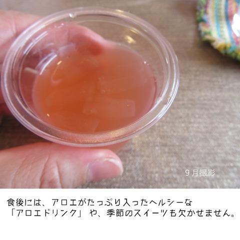 アロエリゾートカフェ (4)