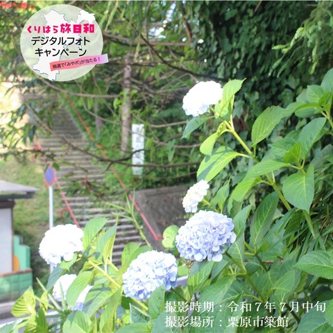 薬師如来 (3)