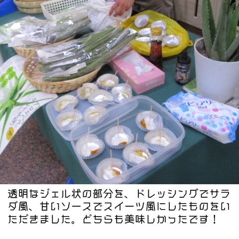 一推し生産現場アロエハウス (7)