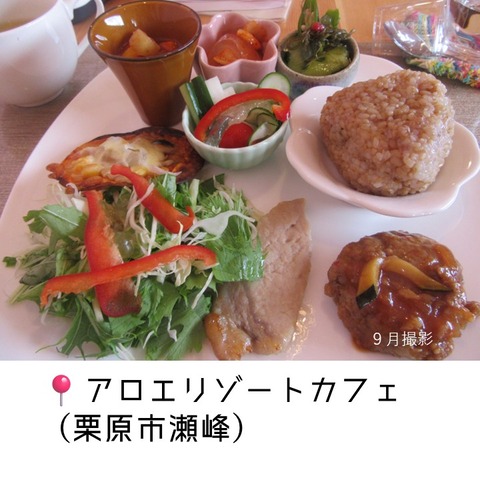 アロエリゾートカフェ (1)