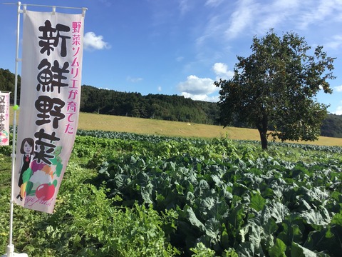 農場