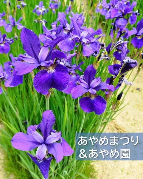 1(修正②)