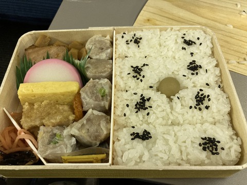 301A58E2-C2C3-44A0-BD44-5BCDAF881878_1_102_o