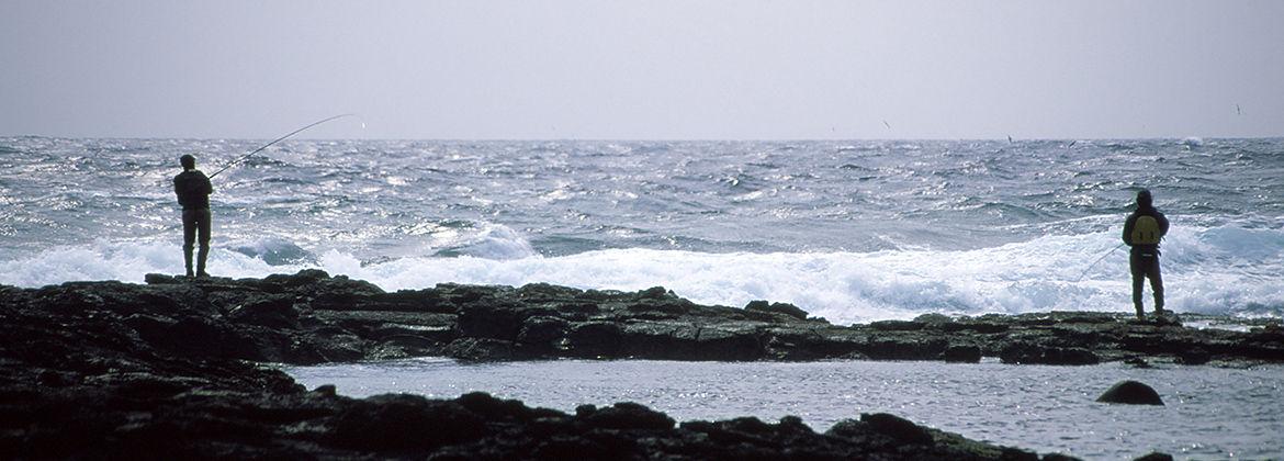 シーバスルアーど定番】タックルハウスK-TENブルーオーシャンBKF : Heart Soul SeabassFishing シーバスルアーど定番】タックルハウスK-TENブルーオーシャンBKF : Heart Soul SeabassFishing