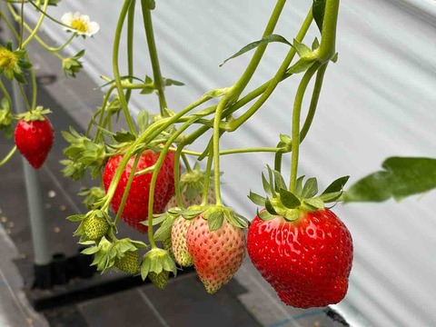 EB82C84A-C980-4974-8A9B-2F2780E81AC8