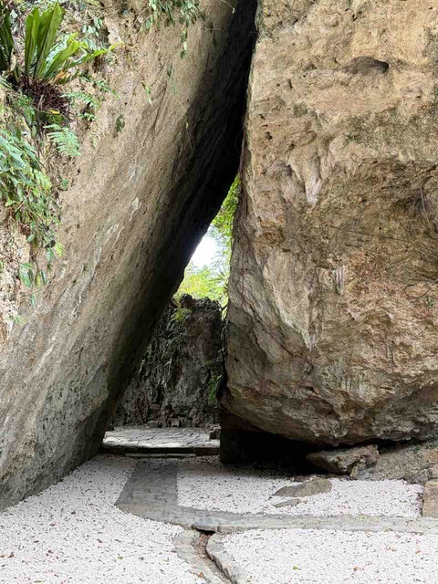 E8BFC9A4-100C-43F4-AF7C-1D689A444472