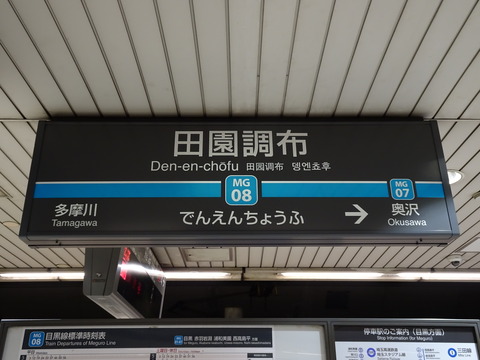 DSC06445