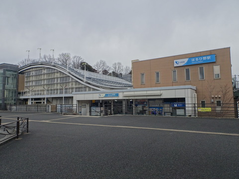 DSC00875