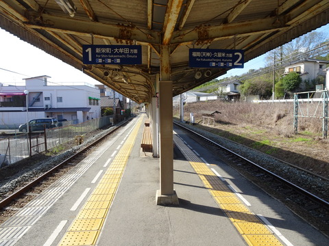 DSC00378