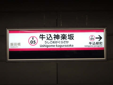 DSC02524
