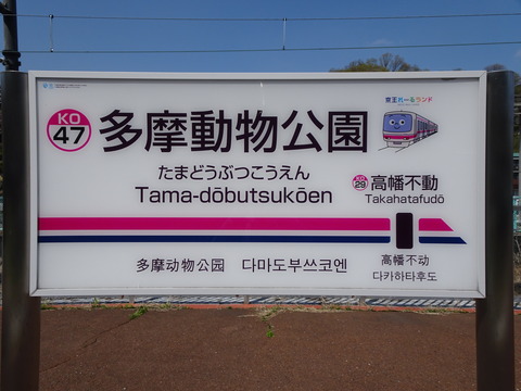 DSC02656