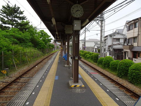 DSC02236