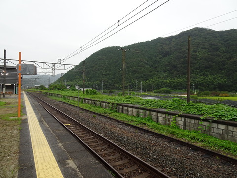 DSC03490