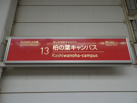 DSC03142
