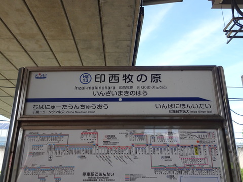DSC00707