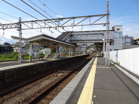 DSC05249