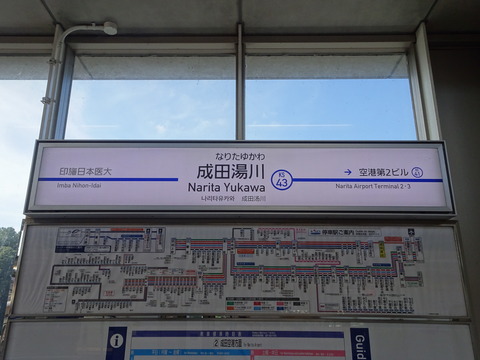 DSC00781