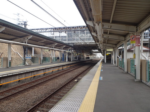 DSC00804