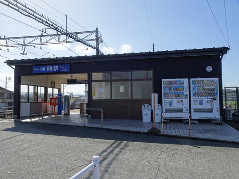 DSC00517