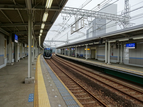 DSC06417