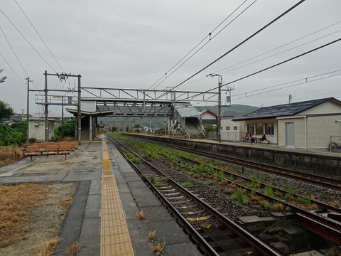 DSC03384