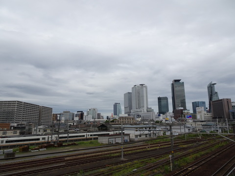 DSC00534