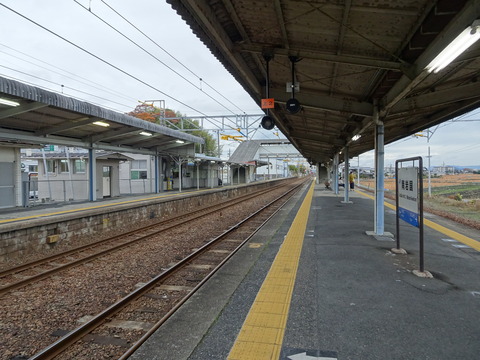 DSC07560