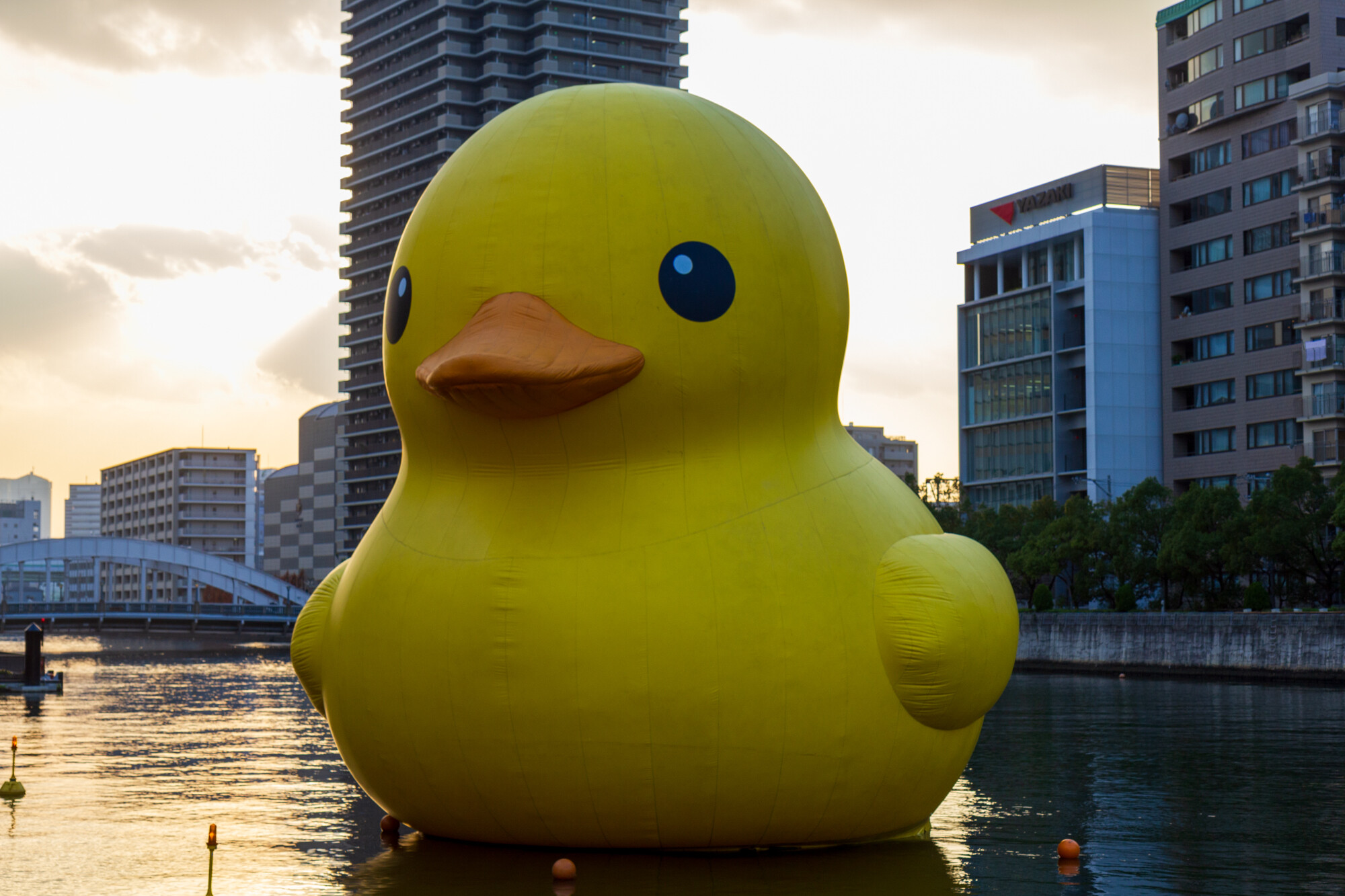 OSAKA 光のルネサンス2010