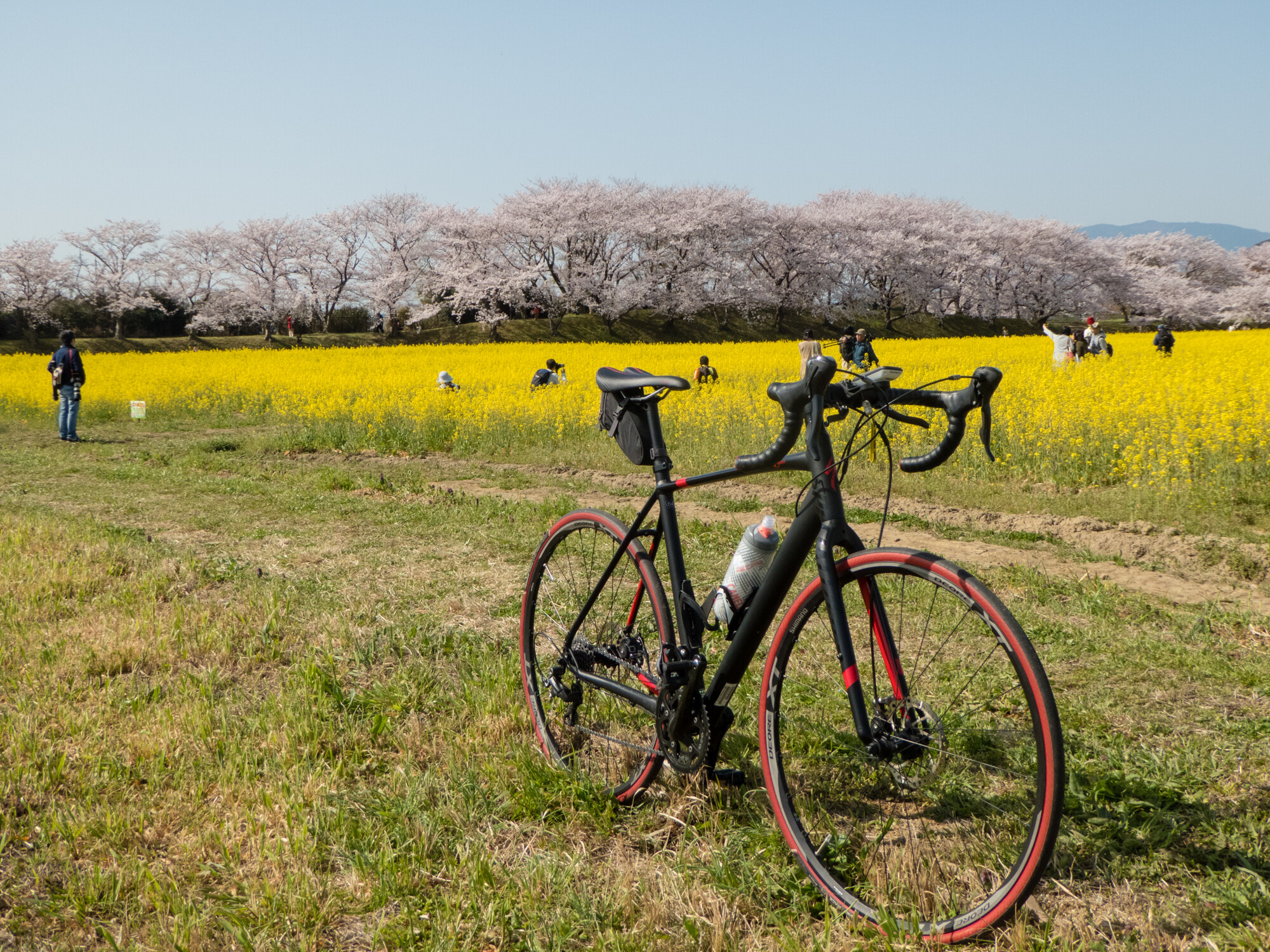 春のサイクリング【2018】
