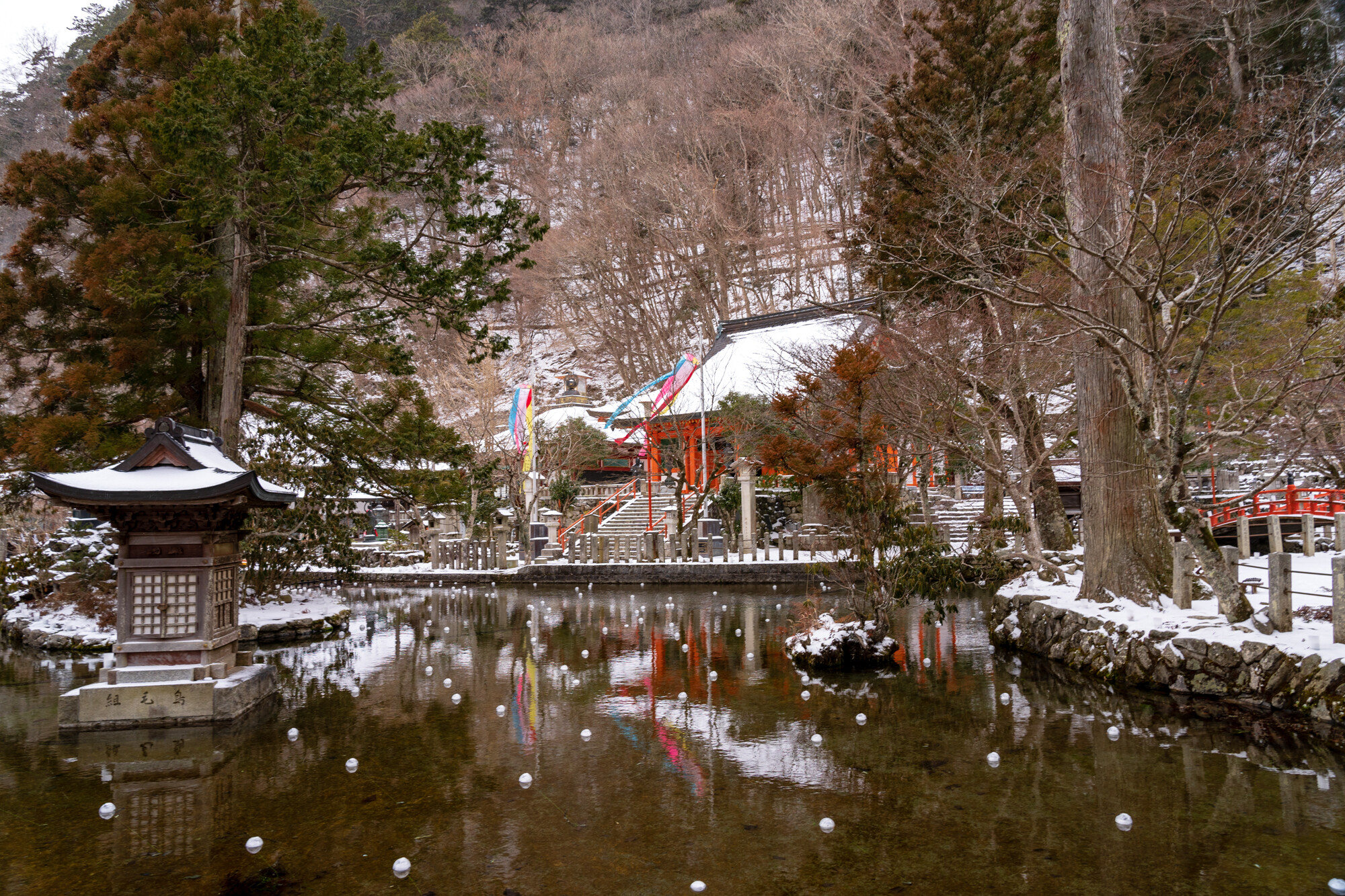 DSC04030
