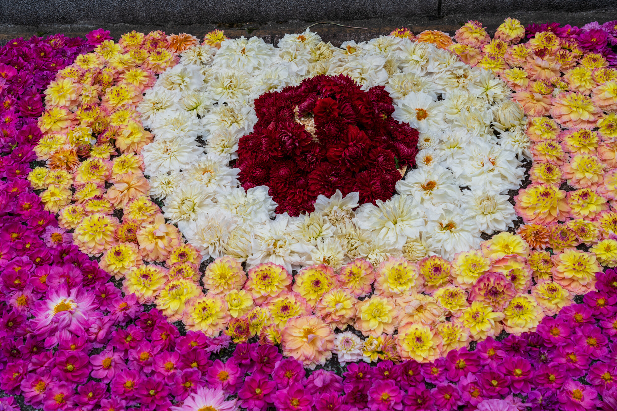 宇陀松山華小路【2021】