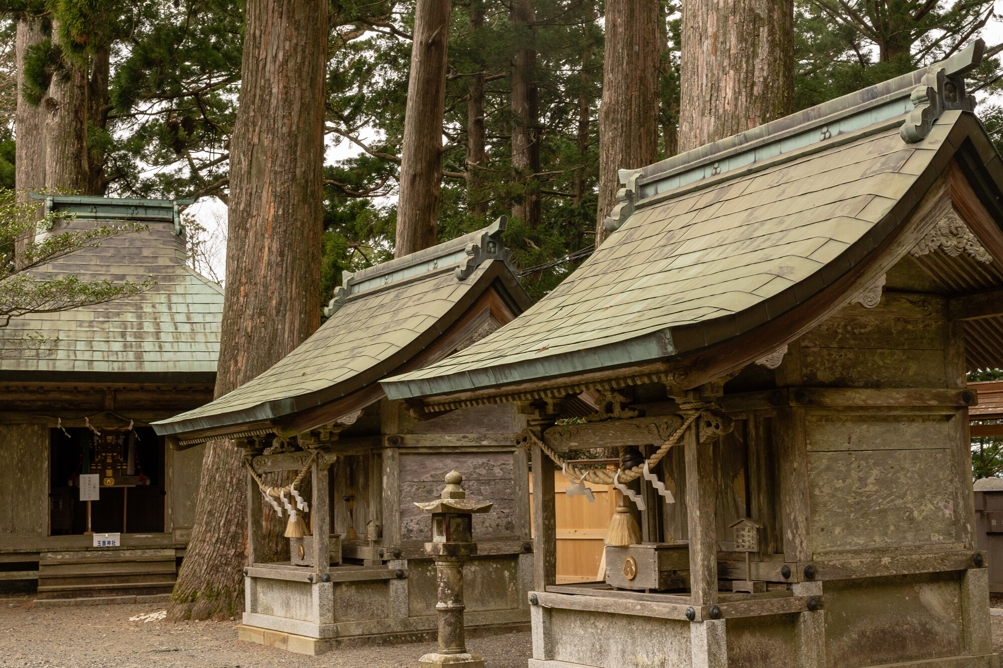 桜を追いかけて十津川へ【2018】