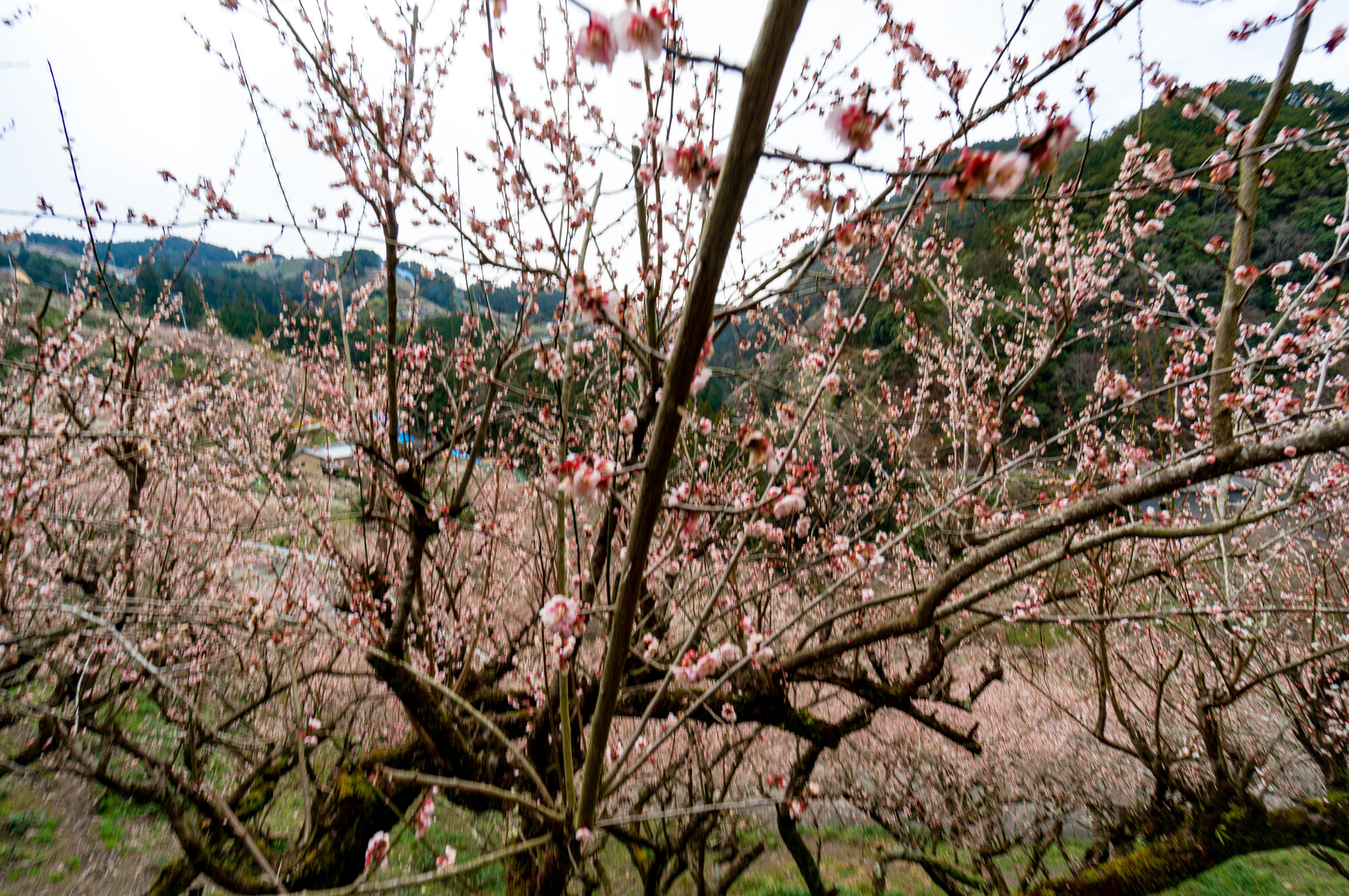 DSC00304