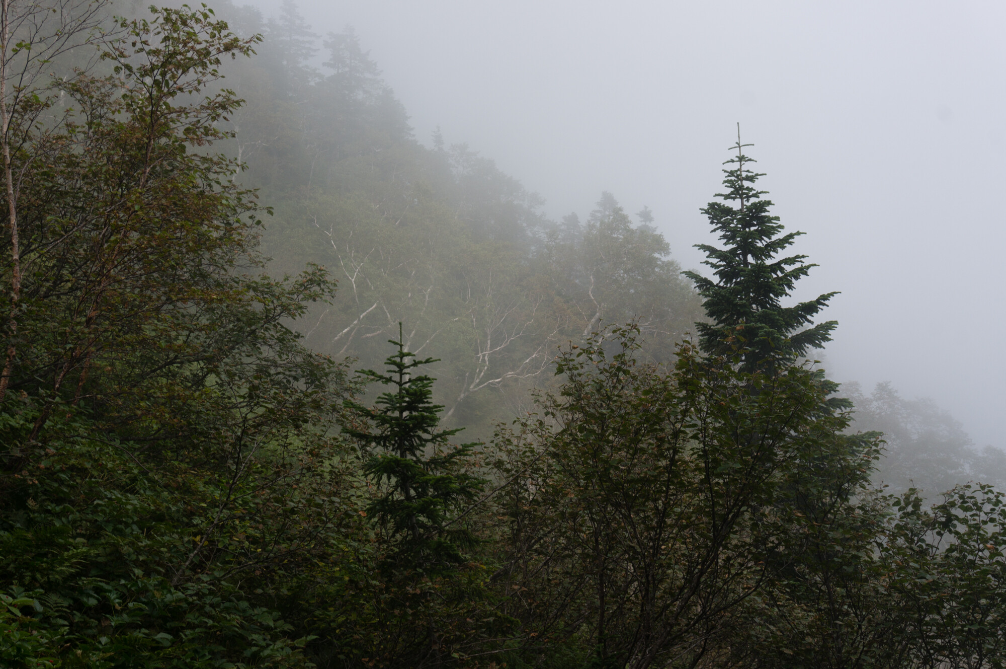 DSC05136