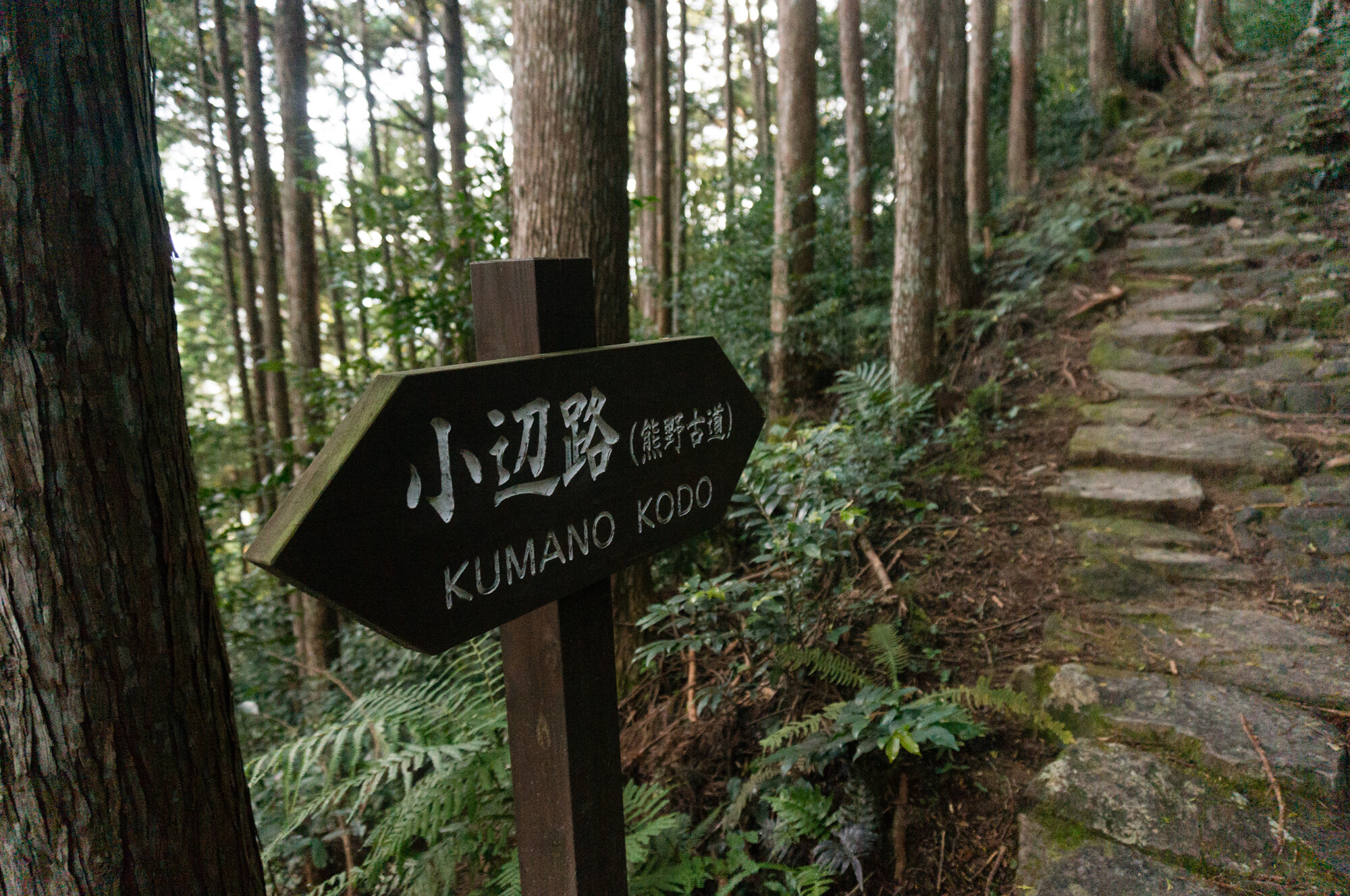 熊野古道小辺路 果無越え
