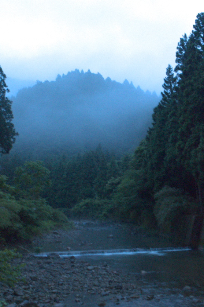 蛍鑑賞（失敗編？）