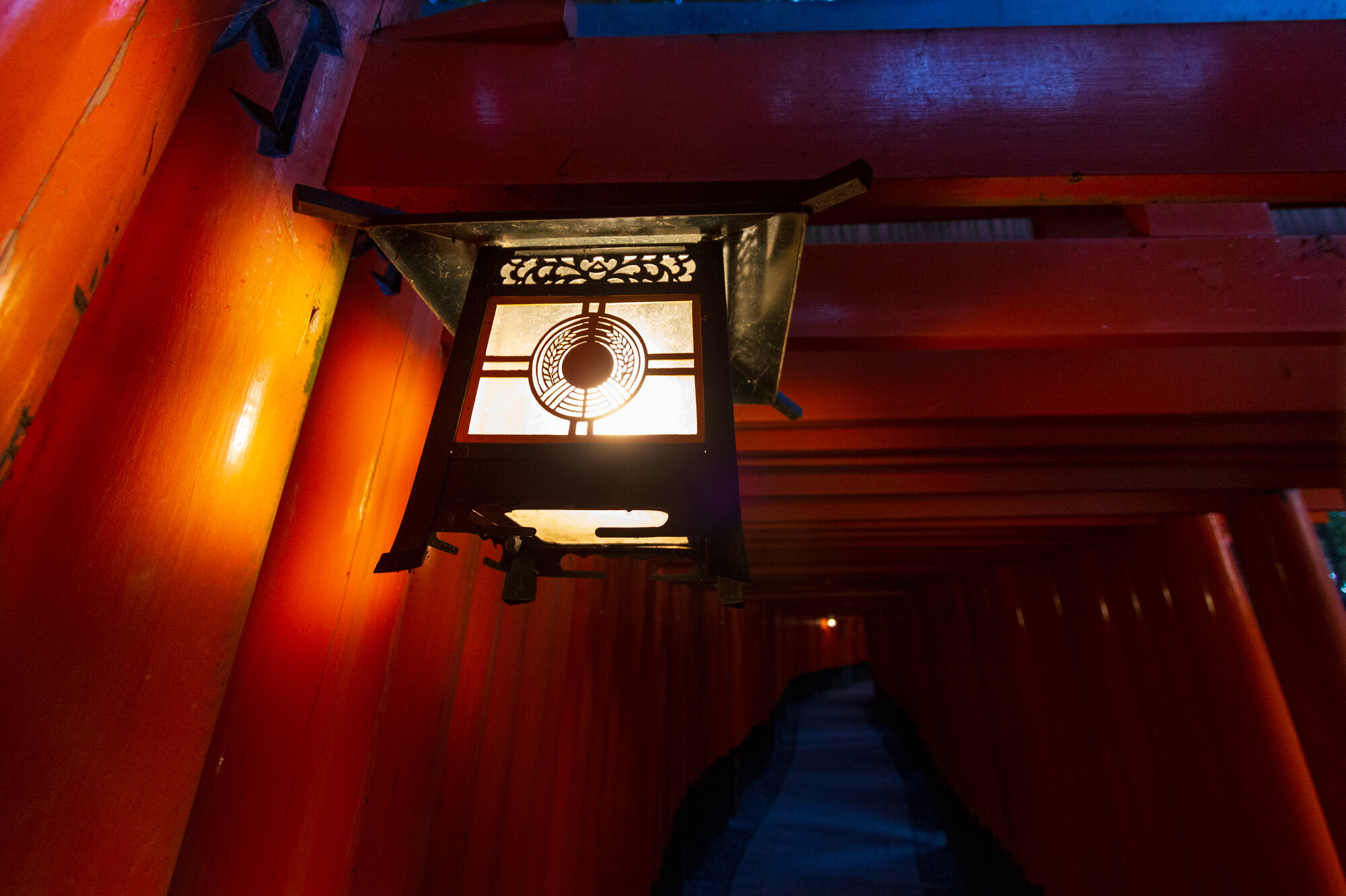 唐突に伏見稲荷