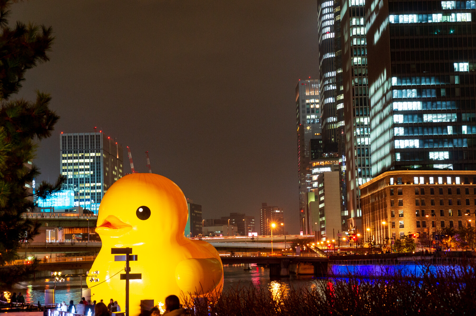 XPERIA Z1fとラバーダック