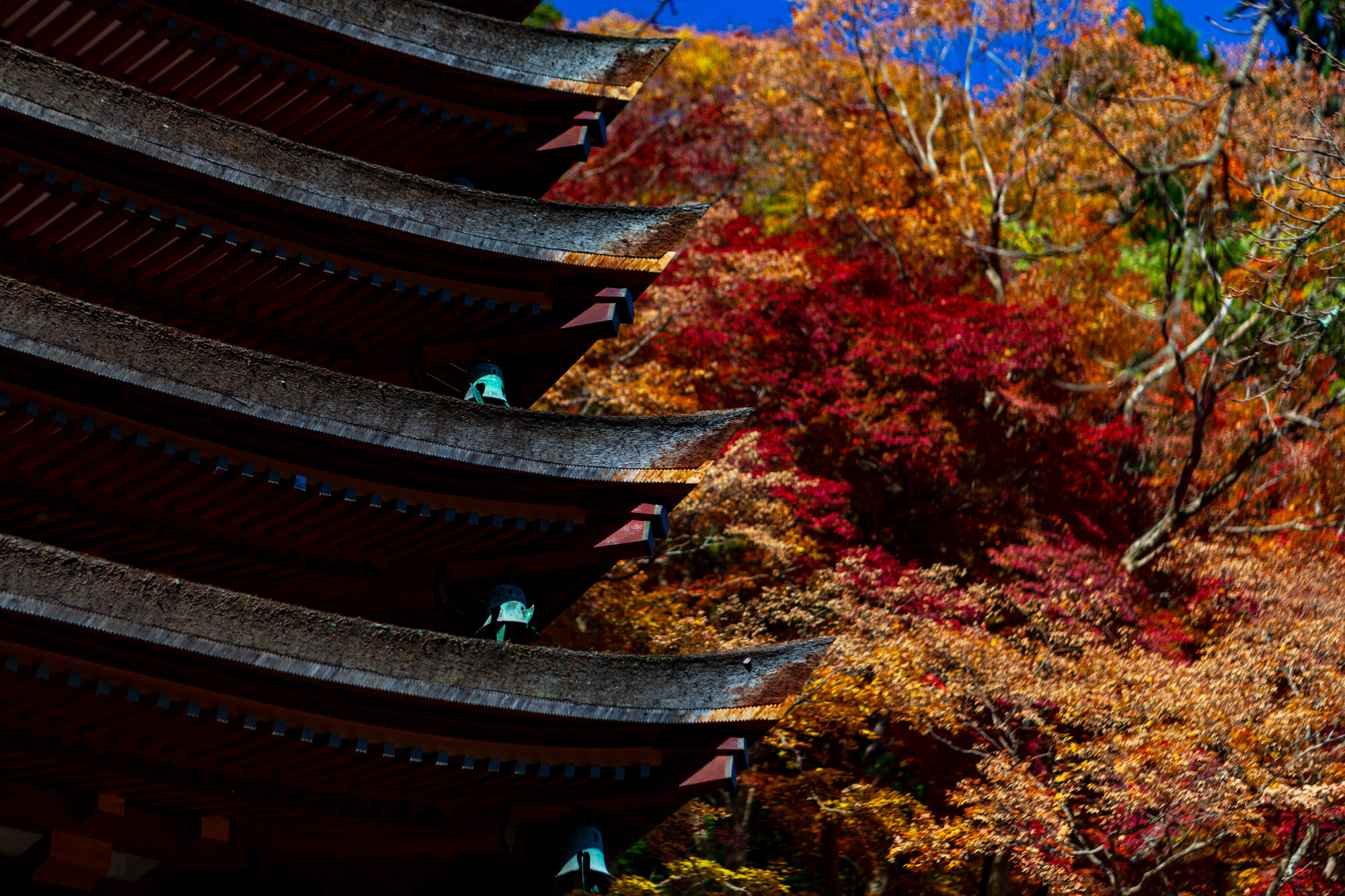 アイソン彗星と談山神社