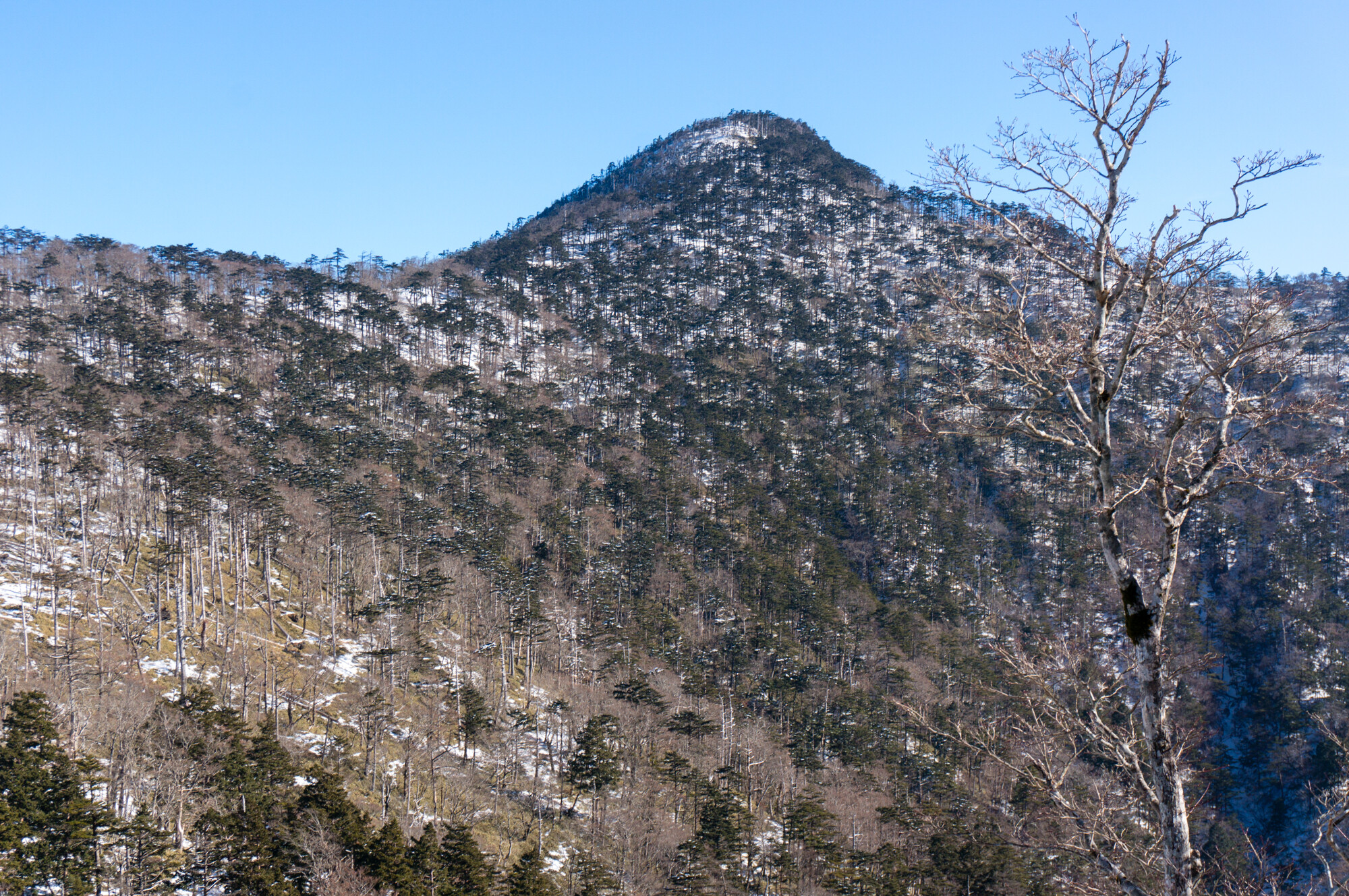 DSC08300