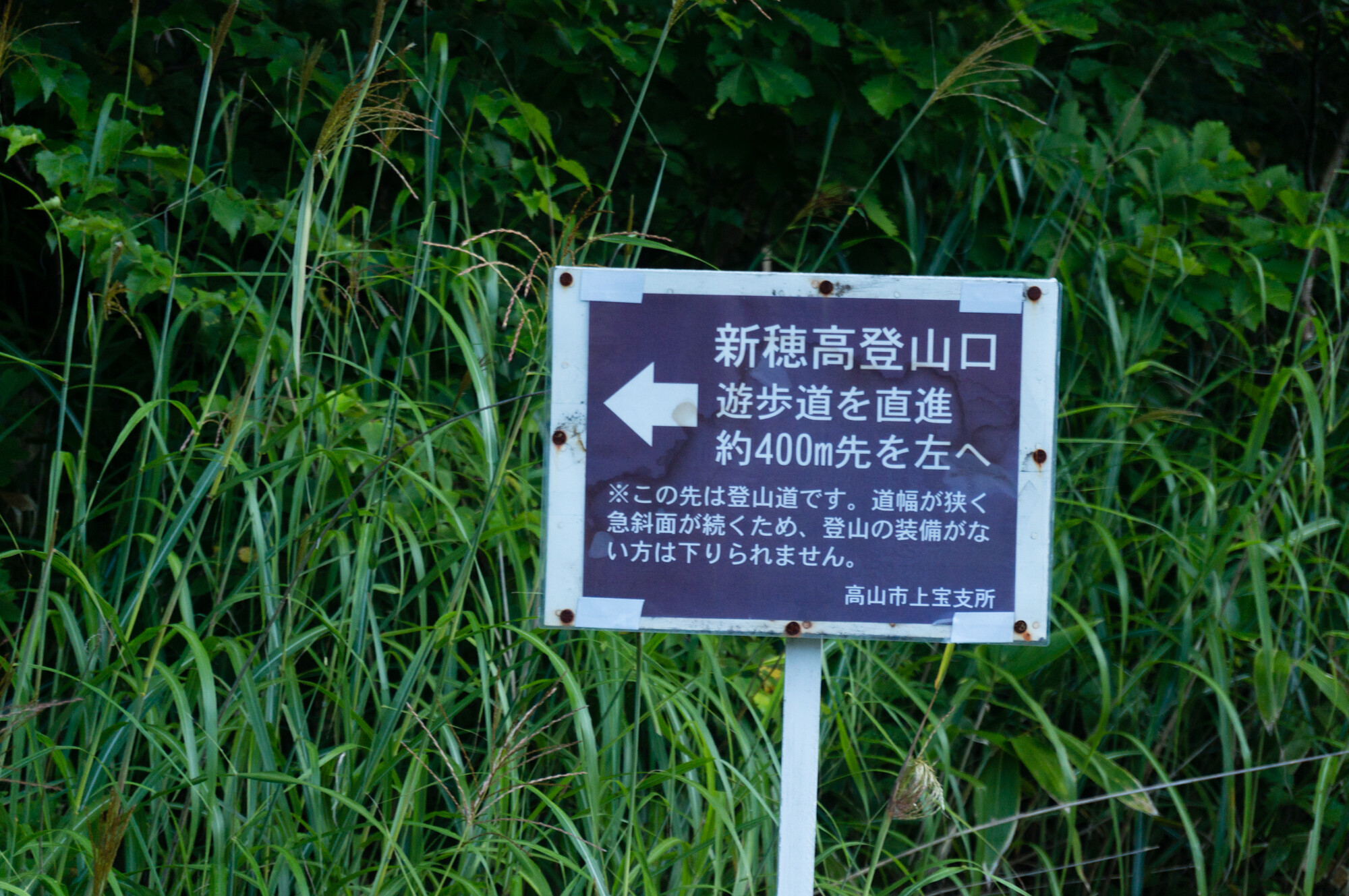 DSC05068