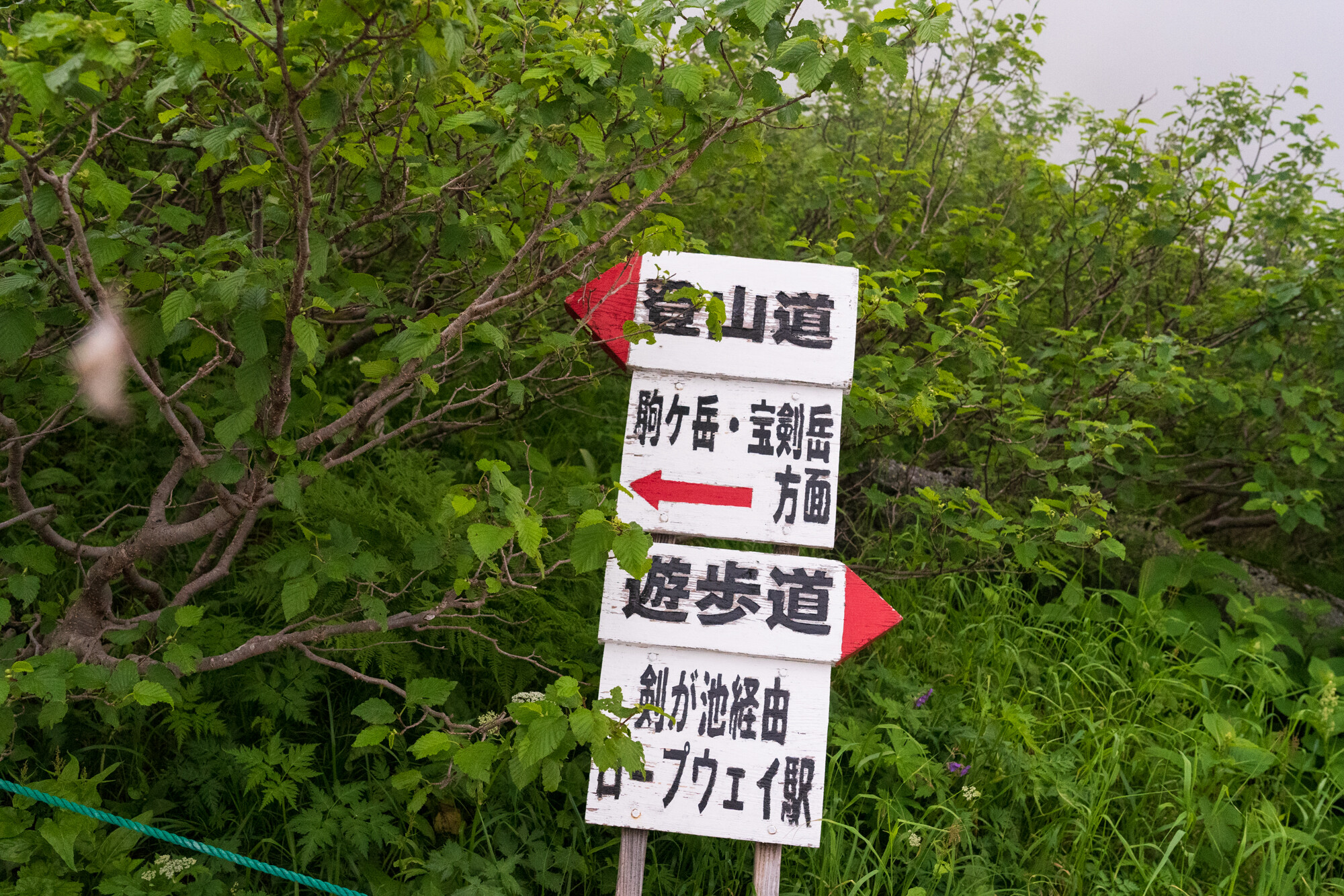 DSC04935