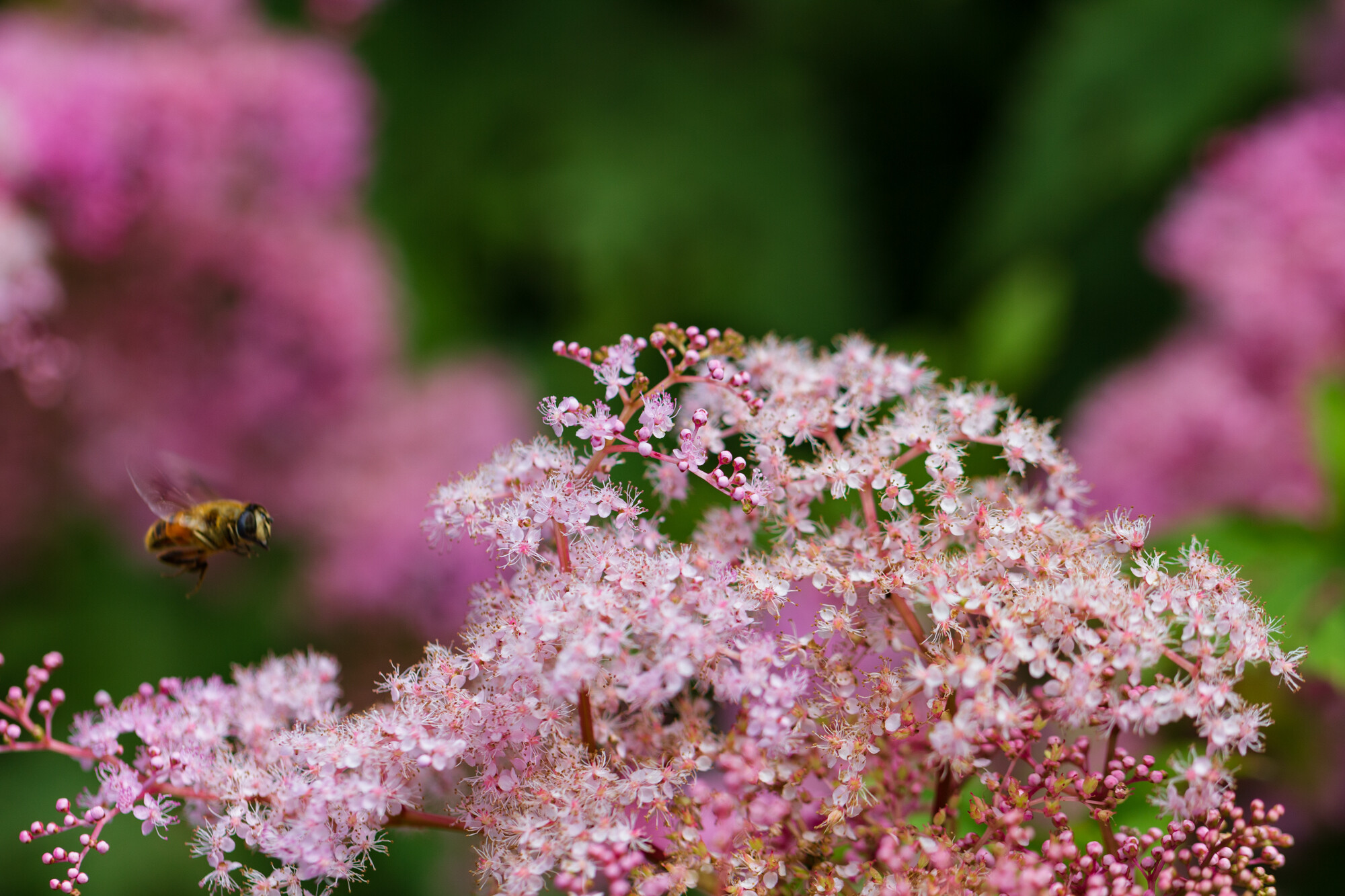 撮影放浪記 第2弾
