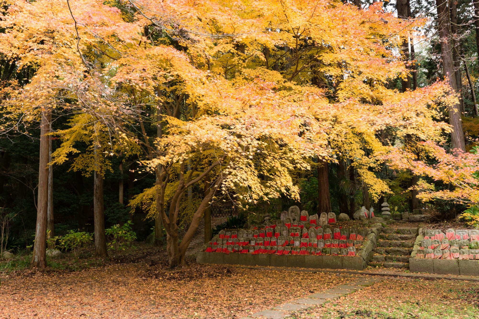 九品寺の紅葉【2016】